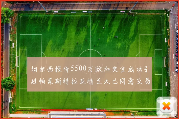 切尔西报价5500万欧加奖金成功引进帕莱斯特拉亚特兰大已同意交易