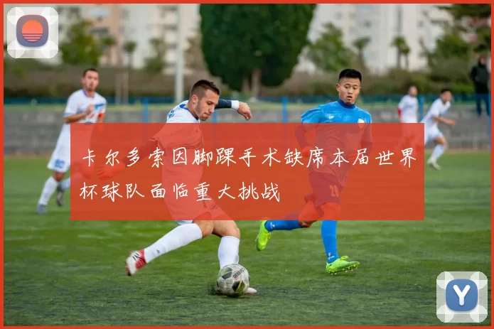 卡尔多索因脚踝手术缺席本届世界杯球队面临重大挑战